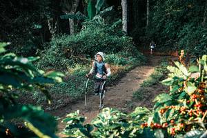 BIB: 
                            <button type="button" onclick="openModal(25812076)" class="btn btn-primary btn-sm float-right btn-popup" data-toggle="modal" data-target=".modal-high-quality">
                        <i class="fas fa-shopping-cart"></i> Add to Cart
                    </button>
                                            <button type="button" onclick="isThisMe(25812076, true)" class="btn btn-success btn-sm float-right btn-popup btn-isme hidden" data-toggle="tooltip" data-placement="bottom" title="นี่คือรูปของคุณใช่ไหม คลิกที่นี่เพื่อเอาเข้าอัลบั้ม">
                        <i class="fas fa-plus"></i> Add to album
                    </button>
                    <button type="button" onclick="isThisMe(25812076, false)" class="btn btn-warning btn-sm float-right btn-popup btn-isnotme hidden">
                        <i class="fas fa-ban"></i> Remove from album
                    </button>